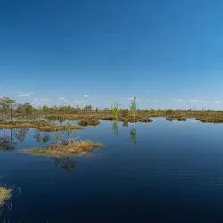 Nature Trails Around Miory - Miory