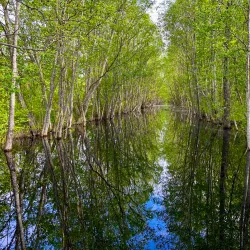 Nature Trails Around Miory - Miory