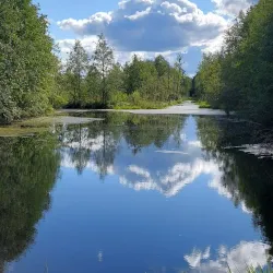 Nature Trails Around Miory - Miory