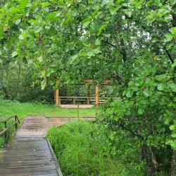 Nature Trails Around Miory - Miory