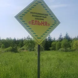 Nature Trails Around Miory - Miory