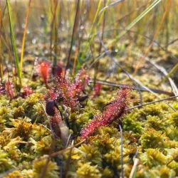 Nature Trails Around Miory - Miory