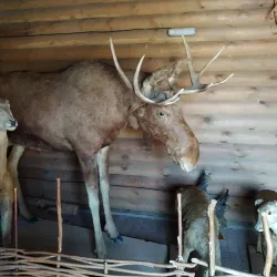 Mozyr Botanical Garden - Mozyr