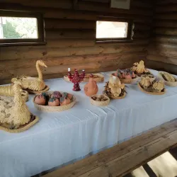 Mozyr Castle Ruins - Mozyr