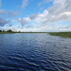 Pripyat River Embankment - Mozyr