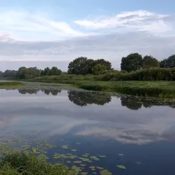 Pripyat River Embankment - Mozyr