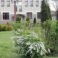Polatsk Town Hall - Polatzk