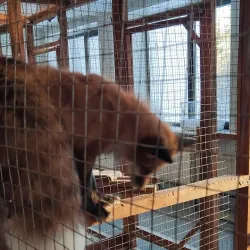 Cultural Center Salihorsk - Salihorsk