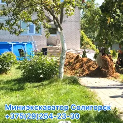 Local Market - Salihorsk