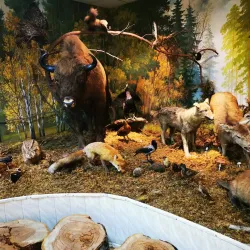 Salihorsk City Museum - Salihorsk