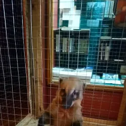 Salihorsk City Museum - Salihorsk