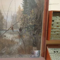 Salihorsk City Museum - Salihorsk