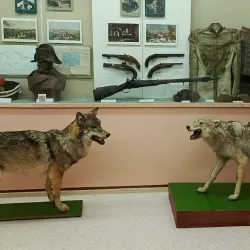 Museum of Local Lore - Slonim