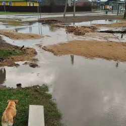 Old Town Slonim - Slonim