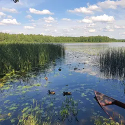 Slonim Castle Ruins - Slonim
