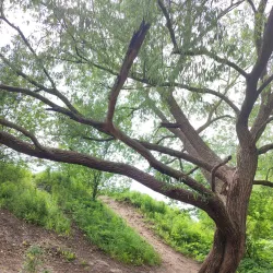 Slonim Synagogue - Slonim