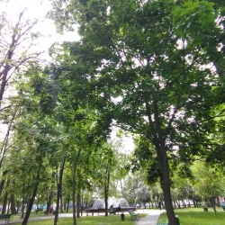 Park of Culture and Recreation - Slutsk