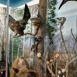 Svetlahorsk Industrial Heritage Trail - Svetlahorsk