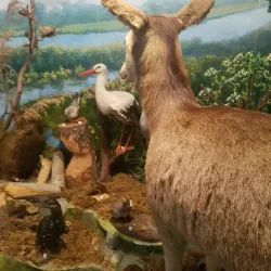 Svetlahorsk Industrial Heritage Trail - Svetlahorsk