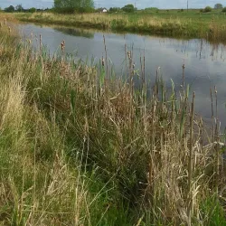 Svetlahorsk Riverfront - Svetlahorsk