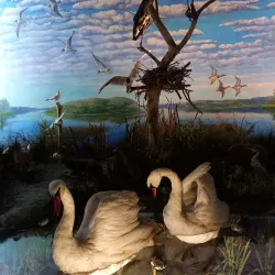 Viciebsk Regional Museum - Viciebsk (Vicebsk