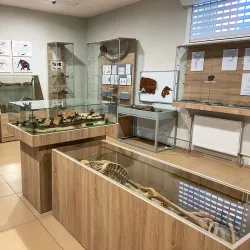 Local History Museum of Zhlobin - Zhlobin