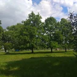 Zhlobin City Park - Zhlobin