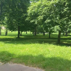 Zhlobin City Park - Zhlobin