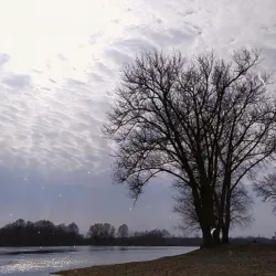 Zhlobin City Park - Zhlobin