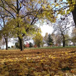 Zhlobin City Park - Zhlobin