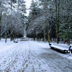 Central Park of Culture and Recreation - Zhodino