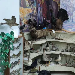 Zhodino City Museum - Zhodino