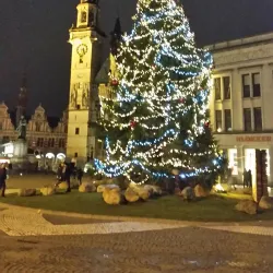City Hall of Aalst - Aalst