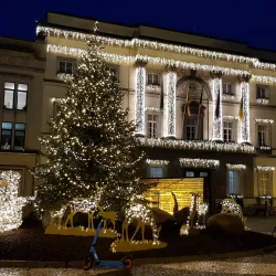 City Hall of Aalst - Aalst
