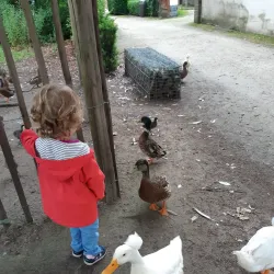 Park Ter Heide - Aalst