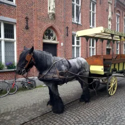 The Beguinage of Aalst - Aalst