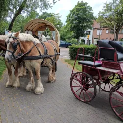 Aarschot City Museum - Aarschot