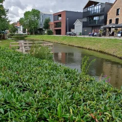 Aarschot Town Hall - Aarschot