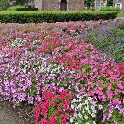 Aarschot Town Hall - Aarschot