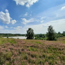 De Molenberg Nature Reserve - Aarschot