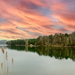 De Molenberg Nature Reserve - Aarschot