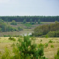De Molenberg Nature Reserve - Aarschot