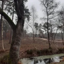 Hoge Mouw Park - Aarschot