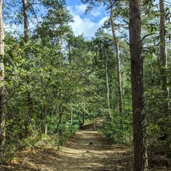 Hoge Mouw Park - Aarschot