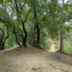 Hoge Mouw Park - Aarschot