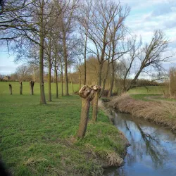 Alken Nature Reserve - Alken