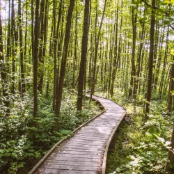 Provinciaal Domein Kiewit - Alken