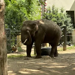 Antwerp Zoo - Antwerp