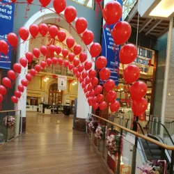 Meir Shopping Street - Antwerp