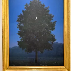 Museum of Fine Arts (KMSKA) - Antwerp